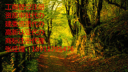 北京旅行社辦理要求與咨詢服務(wù)指南